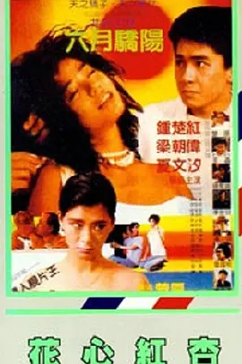 中文字幕久精品免费视频